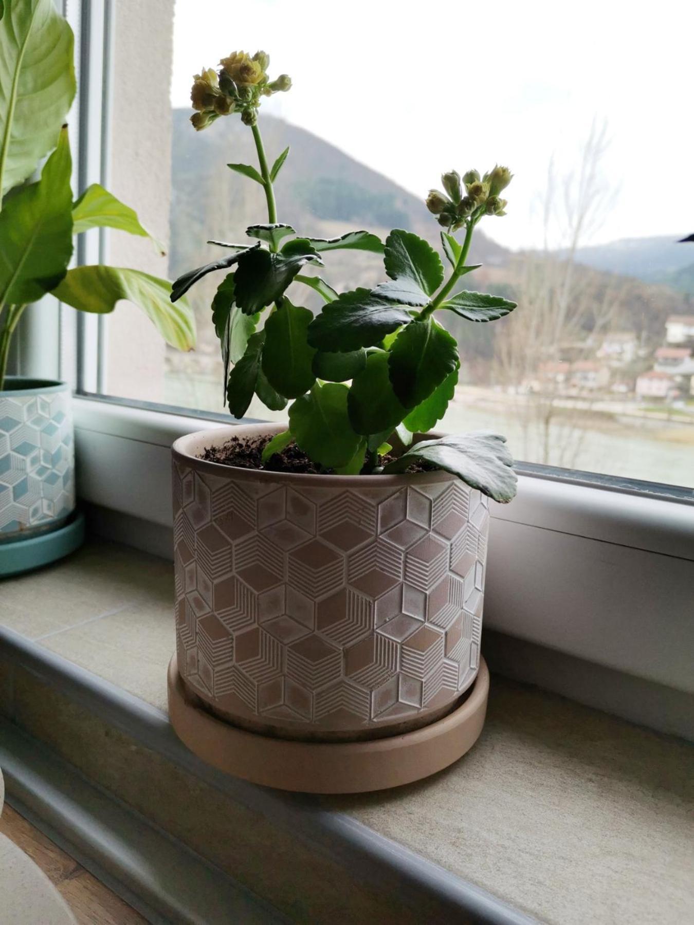 Apartment Mademoiselle Višegrad Cameră foto